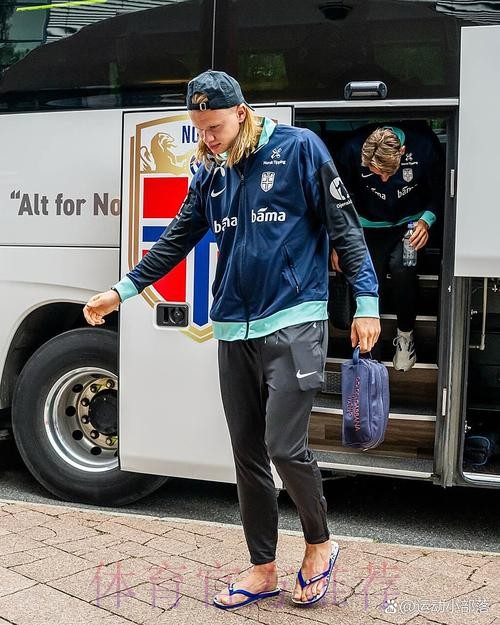 最新世界杯德国哈兰德晋级分析权威解读